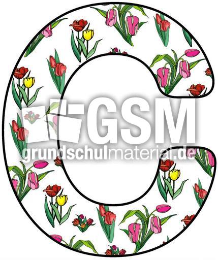 Tulpen-Buchstabe-C.jpg